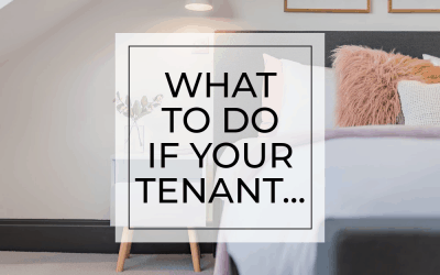 What to do if your tenant…7 troubleshooting tips for North Devon landlords