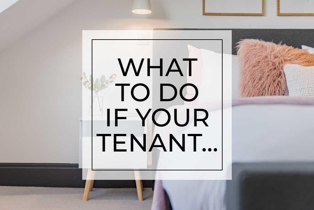 What to do if your tenant…